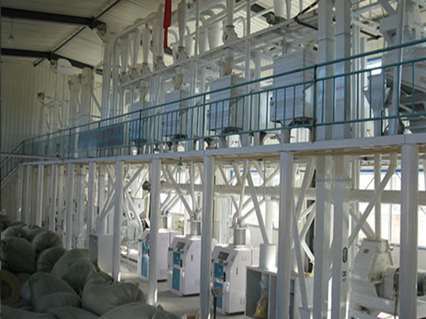 遼寧丹東100噸級玉米加工機(jī)械客戶整體現(xiàn)場（圖）